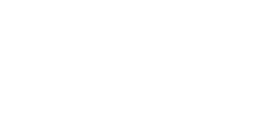 Wild Spins 500x500_white